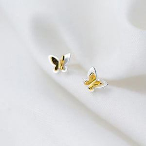 Butterfly Flutter - 2 Tone Gold & Sterling Silver Studs - You Are Amazing (2201-R)